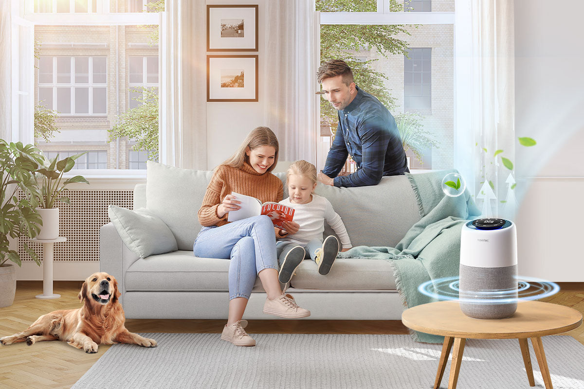 air purifier and humidifier