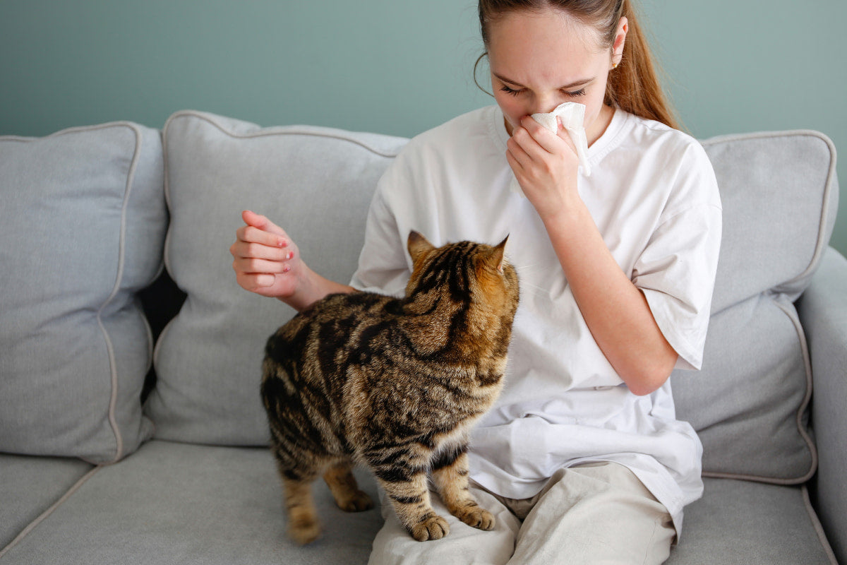Can Air Purifiers Really Help With Pet Allergies?