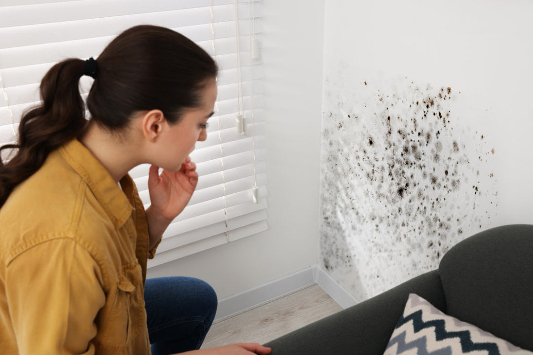 How to Choose the Best Air Purifier for Mold Removal in Your Home