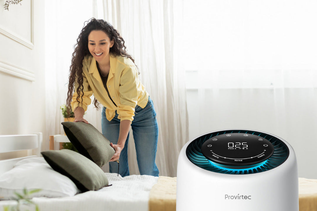 Are Air Purifiers Worth It?