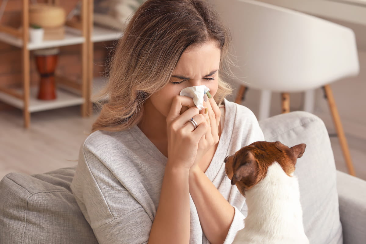 Do Humidifiers Help with Allergies?