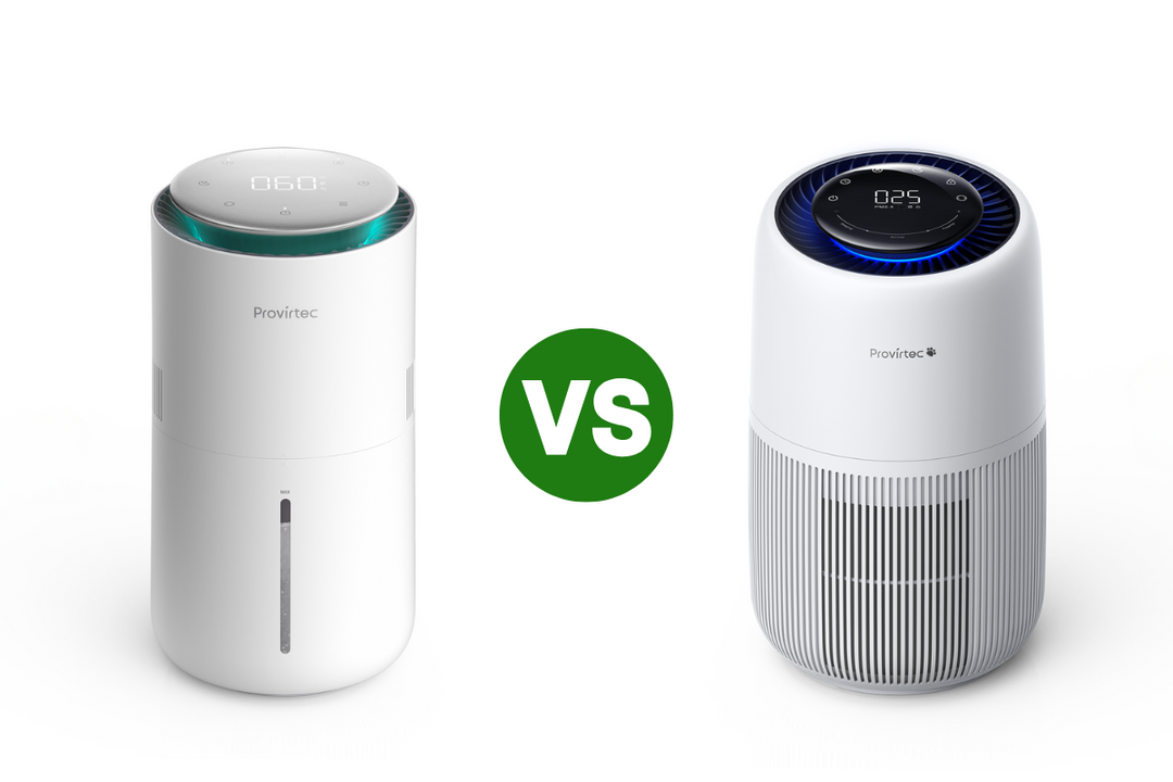 What’s the Difference Between an Air Purifier and a Humidifier?