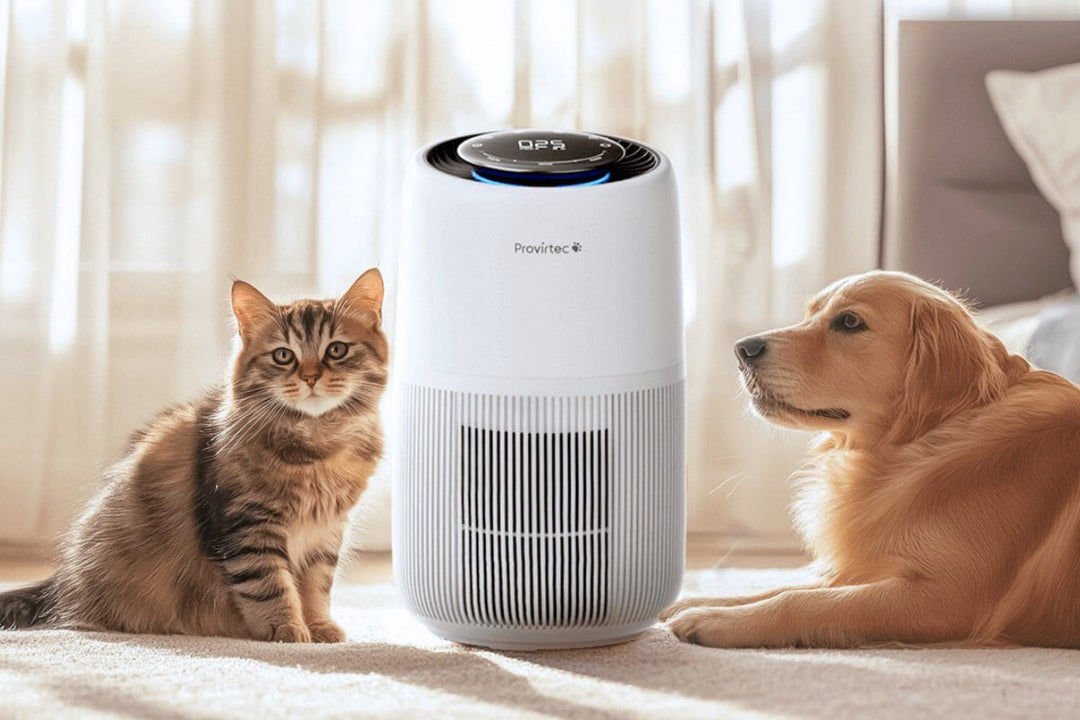Best Air Purifiers for Cat Allergies and Pet Hair