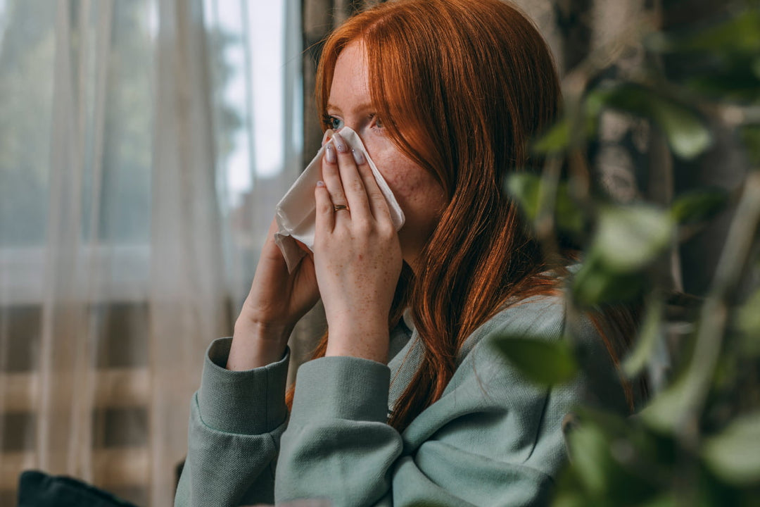 Can A Humidifier Make You Sick