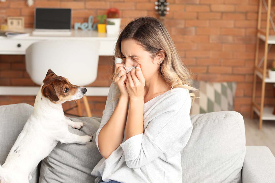 Do Air Purifiers Work for Allergies?