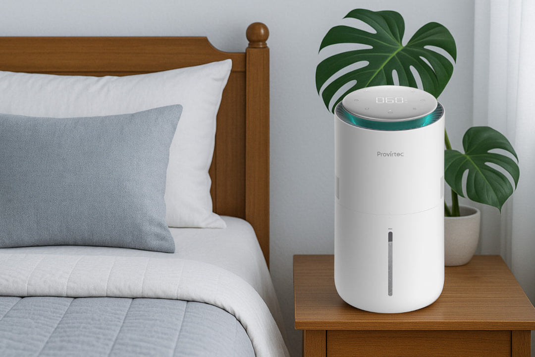 Do Humidifiers Cause Mold?