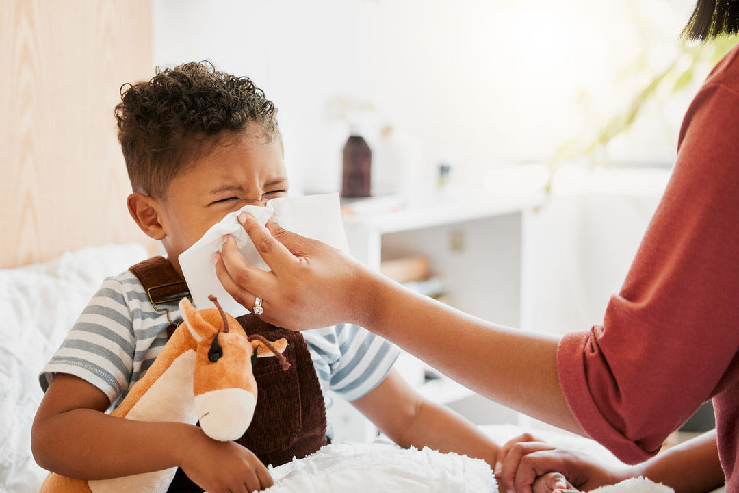Does a Humidifier Help with Congestion?