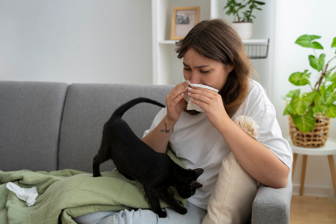 Does Air Purifiers Help with Cat Allergies