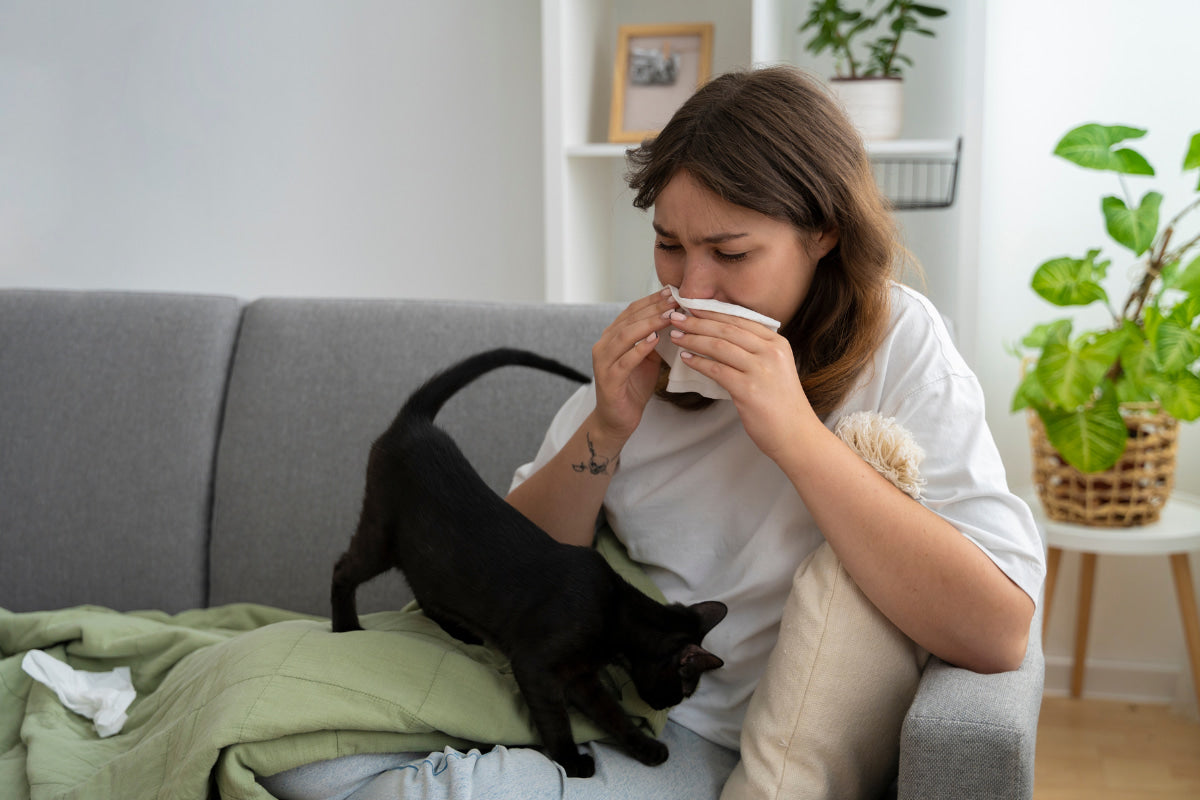 Does Air Purifiers Help with Cat Allergies