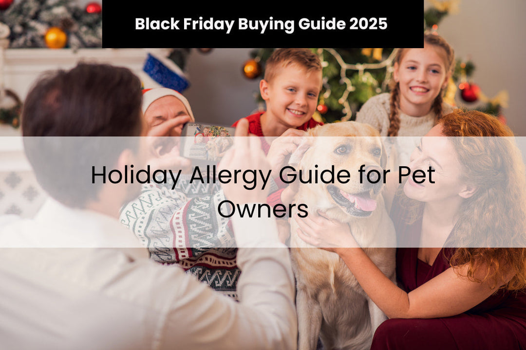 Holiday Allergy Guide for Pet Owners: Stay Fresh This Black Friday & Cyber Monday