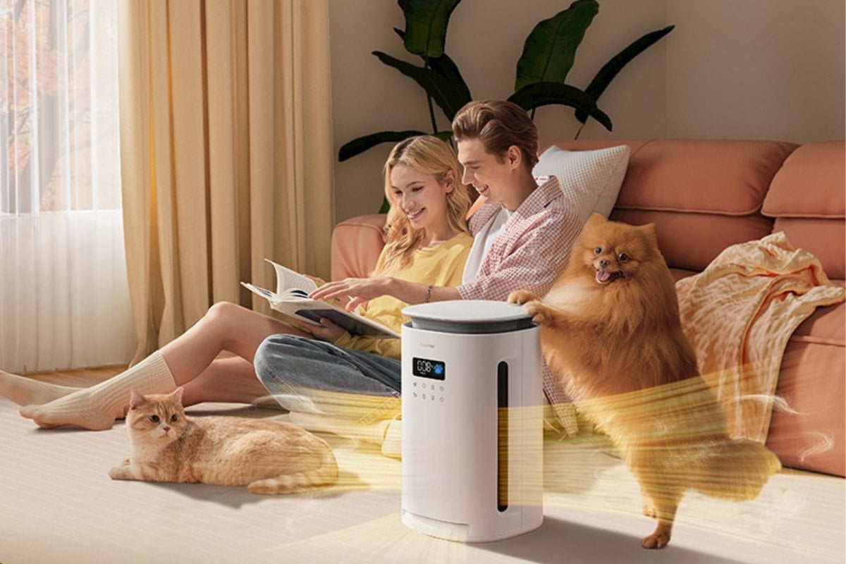 What Is The Best Air Purifier for Pets