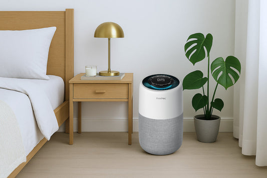small air purifier