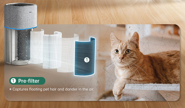 air purifier for pet