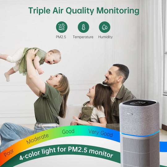 best home air purifier