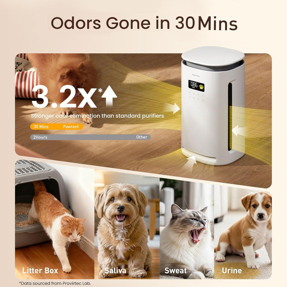 pawtent pet air purifier