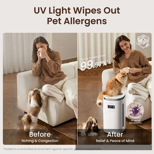 Pawtent pro pet air purifier