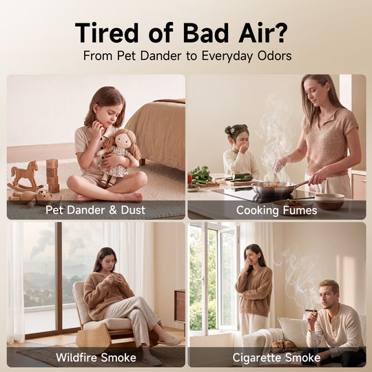 Provirtec Pet Air Purifier for Home with H13 HEPA Black