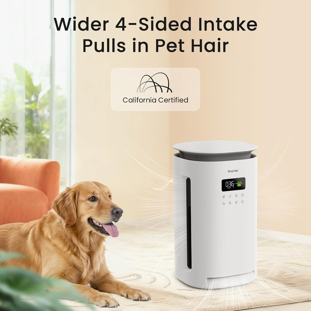 Air Purifiers for Pet