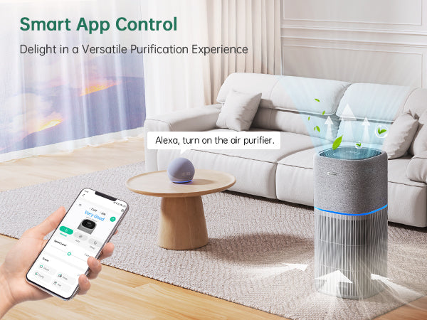 smart HEPA air purifier