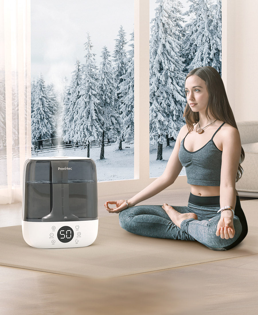 warm mist humidifier