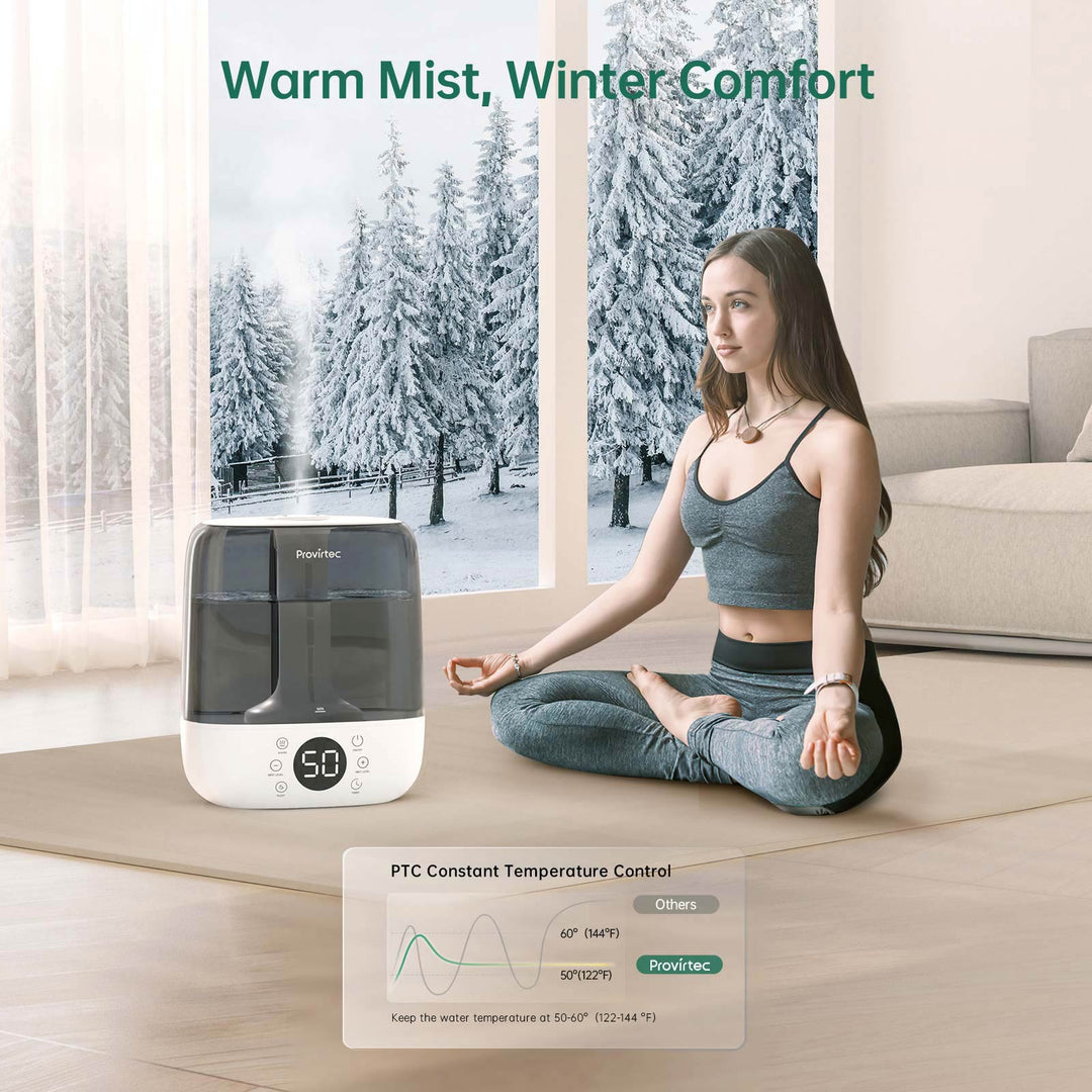 warm mist humidifier