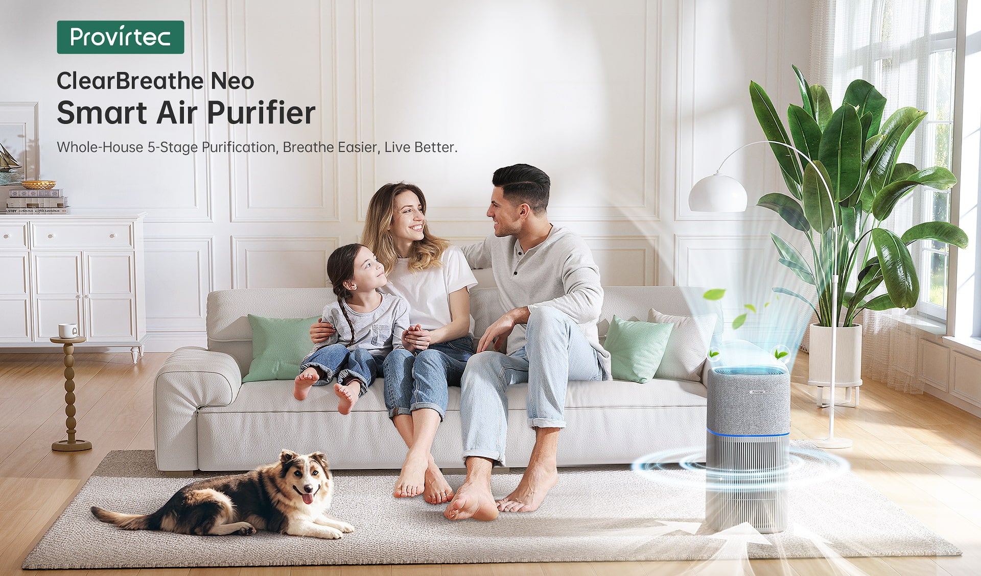 whole house air purifier