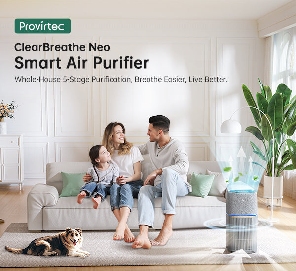 whole house air purifier