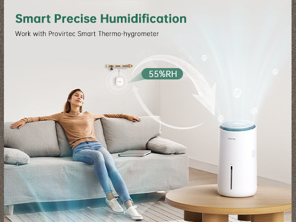 whole house humidifier