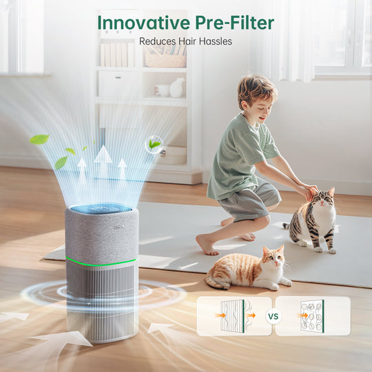 air purifier with hepa filter