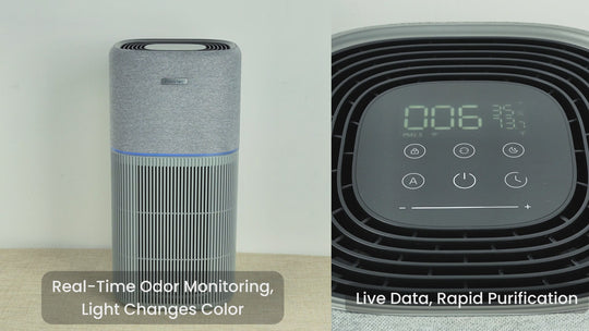 Provirtec ClearBreathe Neo Whole House Air Purifier AP-02