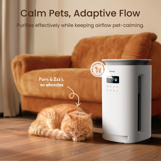 pawtent pet air purifier