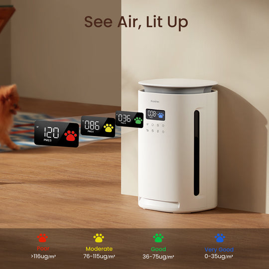 pawtent pet air purifier