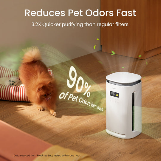 pawtent pet air purifier