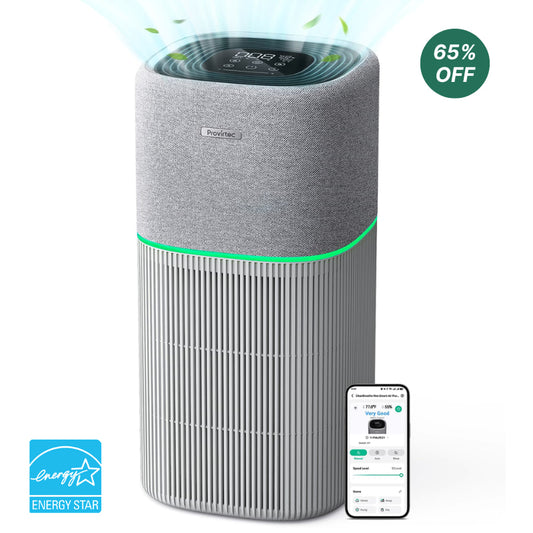 whole house air purifier AP-02